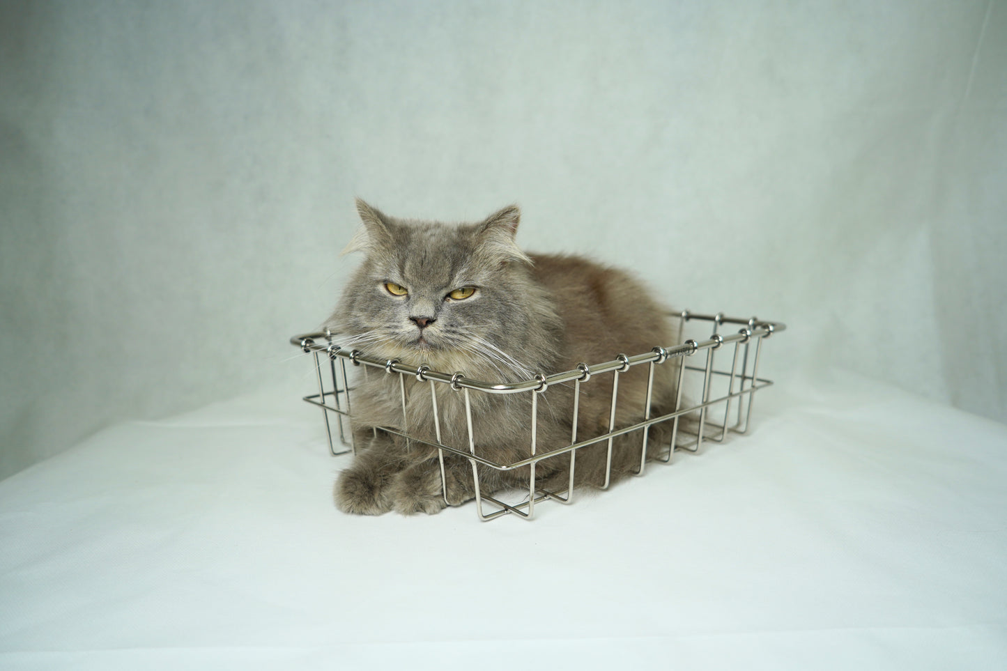 Ruck Rack Full Front Basket - Silver