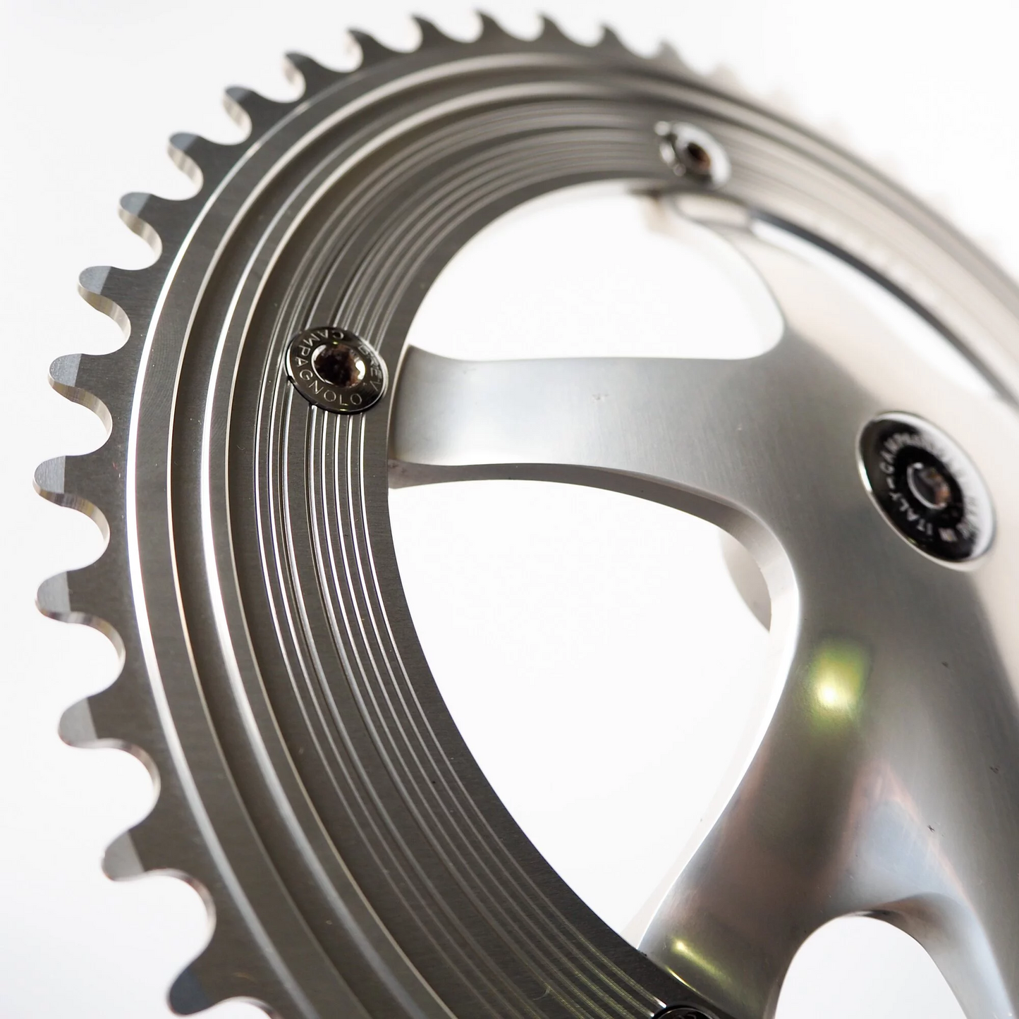Alter Cycles Vinyl Chainring V49SS - Silver 49T